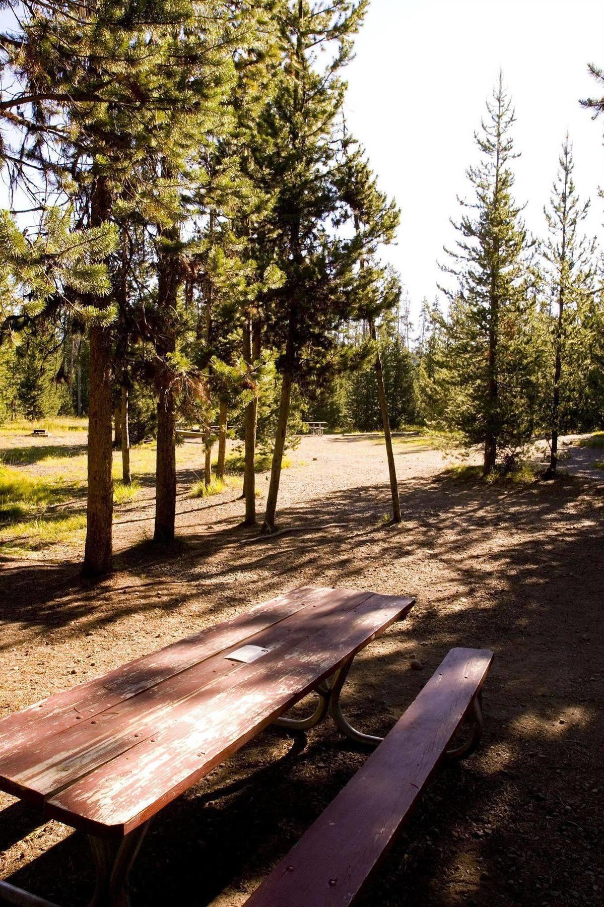 Headwaters Lodge & Cabins At Flagg Ranch Moran Dış mekan fotoğraf
